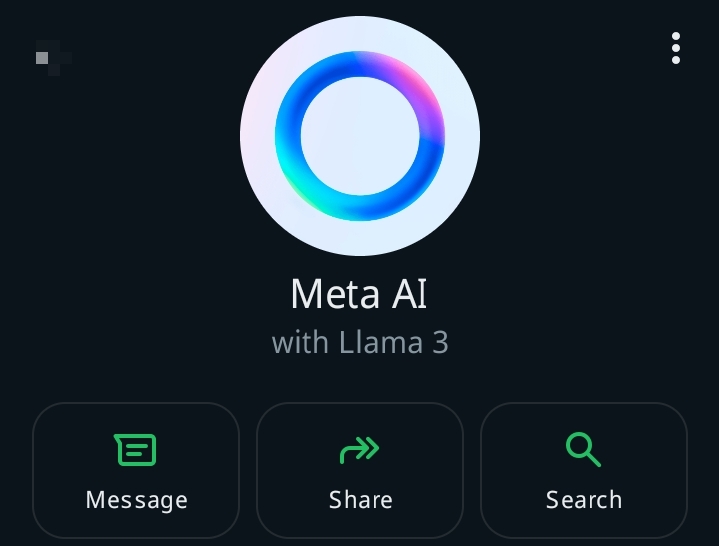  META AI